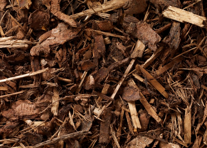 Forest Bark Mulch